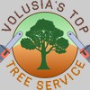 New Smyrna Tree Service