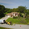 USA Tree Service