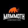 Mammoth Foundation Repair