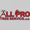 All Pro Tree Service