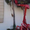 Arbor-Tech Tree Service