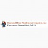 Diamond Head Technologies