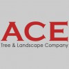 Ace Tree & Landscaping Service