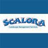 Scalora Landscaping Services