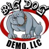 Big Dog Demo