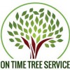 On Time Tree Service