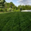 Reliable Lawn Care