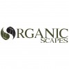 Organic Scapes