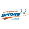 Briggs Plumbing