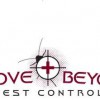 Above & Beyond P.E.S.T. Control