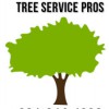 Corpus Christi Tree Service Pros