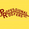 Professional Roofers