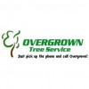 Overgrown Tree Service