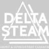 Delta Steam Carpet & Upholstery Cleaning