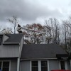 East Greenwich Tree Service