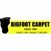 Big Foot Carpet