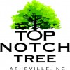 Top Notch Tree