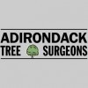 Adirondack Tree Surgeons