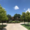 Tree Trimming In Lubbock