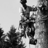 Karhu Tree Service