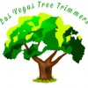 Las Vegas Tree Trimmers