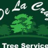 De La Cruz Tree Service