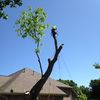 Arbor-Tech Tree Service