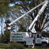 Omega Tree Service