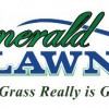 Emerald Lawn