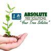 Absolute Tree Solutions