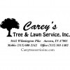 Carey's Tree Service