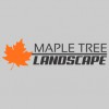 Maple Tree Landscape