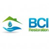 BCI Restoration