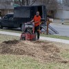 Texas Tree Guy