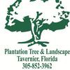 Plantation Tree & Landscape