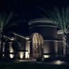 Desert Landscape Lighting