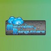 Metroplex Rain Gutters