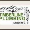 Timberline Plumbing