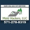 Mold Hackers