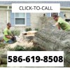 Tree Care In Warren Mi