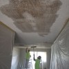 New Ceilings Drywall Repair