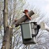 Gonzalez Tree Service