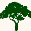 Thomas R. Smith Tree Surgeons