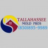 Tallahassee Mold Pros