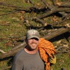 Shenandoah Tree Service