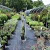 Mountain View Nursery & Landscaping