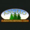 Angelo Palisciano Landscaping