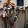 JT Tree Service