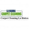 Carpet Cleaning