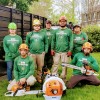 King Tree Services